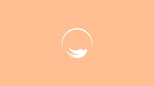 boundless 燕无界 高端燕窝产品