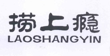 江洪燕与燕诺安 一段关于友情与成长的故事
